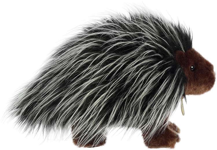 Aurora Miyoni Porcupine 10"